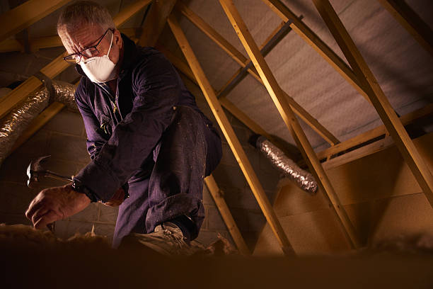 Trusted HI Insulation Contractor Experts